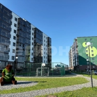 2-комн., 1 этаж, мкр ЭКО, п. Солонцы, Красноярск 