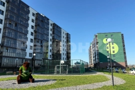 3-комн., 6 этаж, мкр ЭКО, п. Солонцы, Красноярск